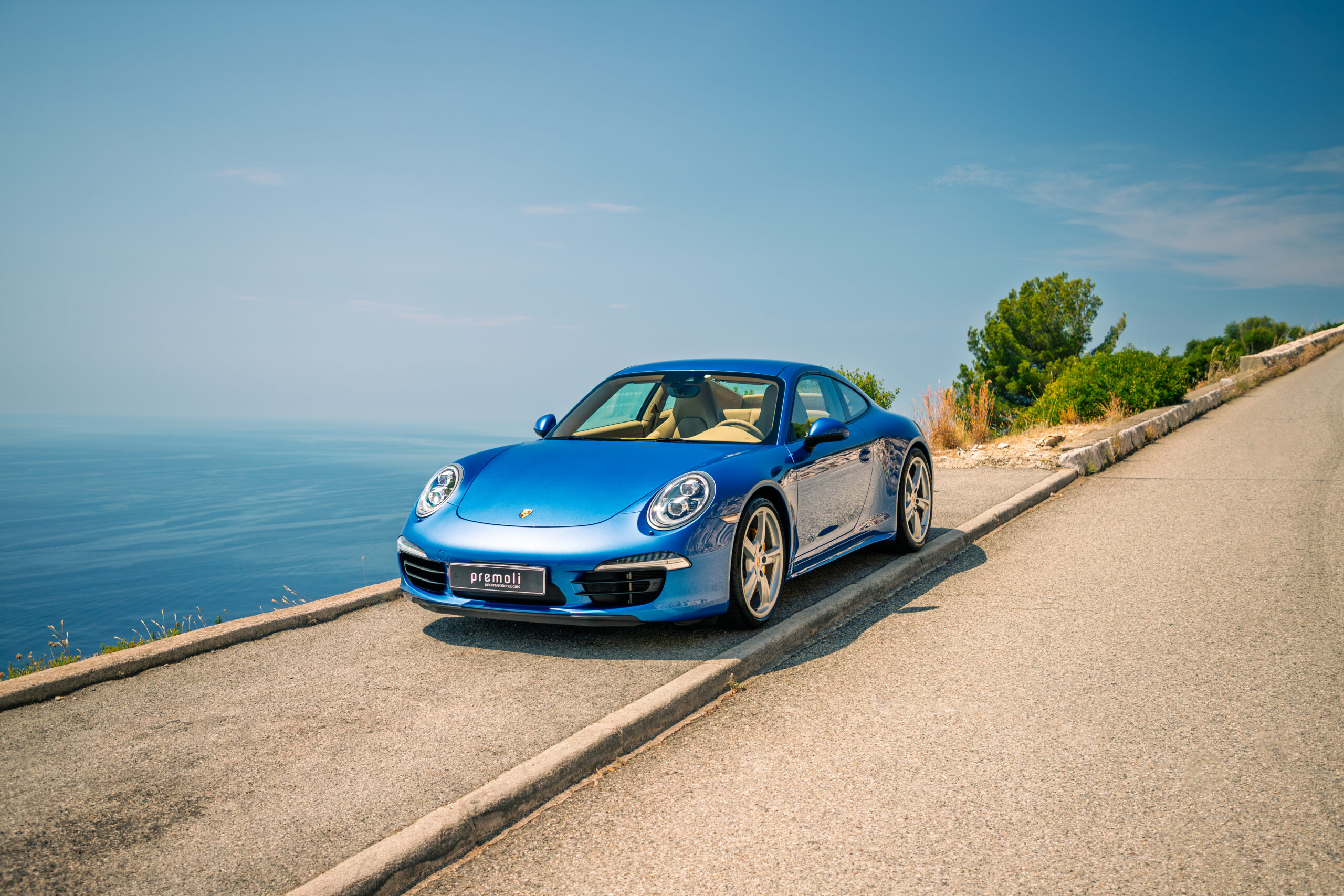 Cobalt Blau 991 (48)