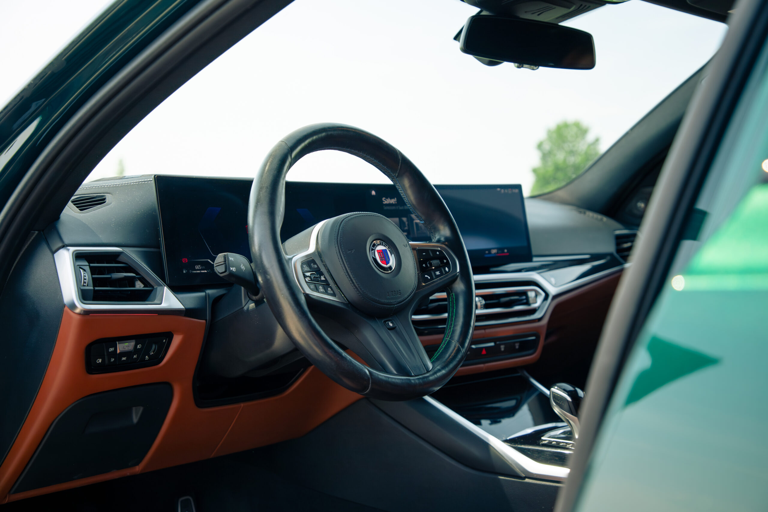 ALPINA D3 S (46)